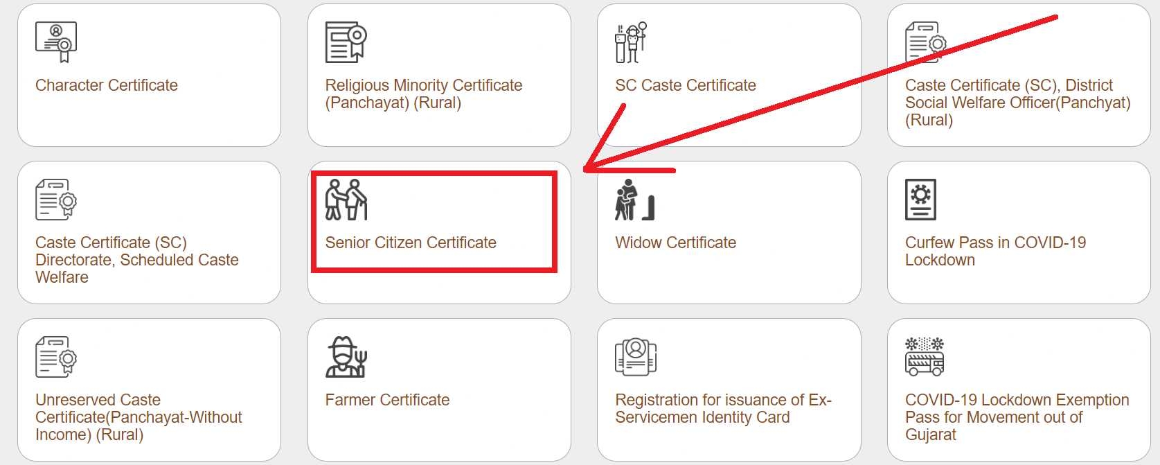 Digital Gujarat Senior Citizen Certificate