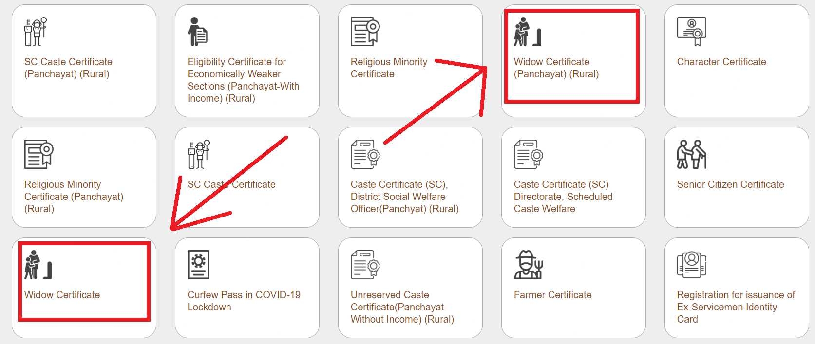 Apply online for widow certificate Rajkot